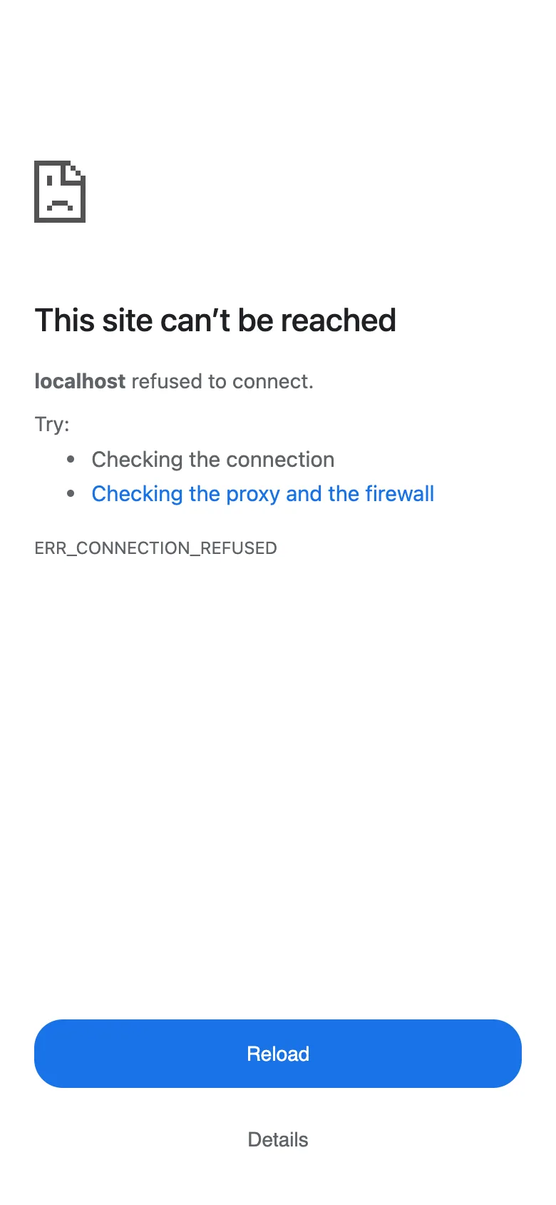 The hosted chat page inside a phone WebView